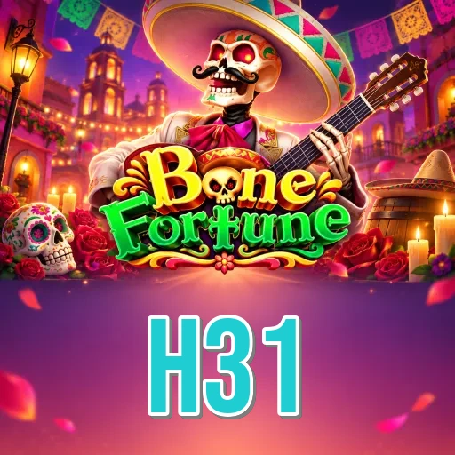 Step-by-Step Install Guide - h31