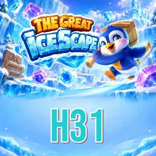 h31 Expert Team